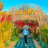 phuong.villa.phanthiet
