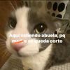 my_name_is_tlacuachitoo