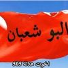user9495910925830