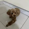 namquacam5