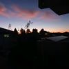 levis_cricket213