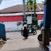 yunisdp