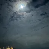 hqyuynjp