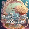 ahmadhemn133