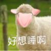 user42671608655240
