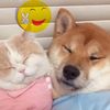 beautifulsmile413