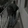 cesar.kims