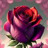 user3191491661422