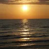 andrewbrammer24