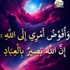 user78031523241085