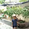 nguyn.tun.hi.hi