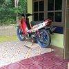 mcdonal120