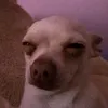 thruou