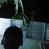 brentriocabigting