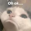 _.bunca05._