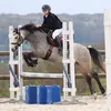 brigittealphonse