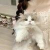 kittyn.505