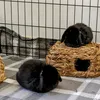 hoosebuns