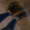 itz.not_dani