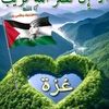 ommouhamed05