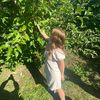 lilymay5220