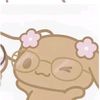 usario._.random