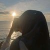 vii_ivi