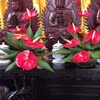 kimphng199