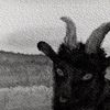 nocti_666