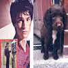 nikastarcie_stark