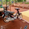 nghip23