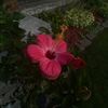 privatee_lifeof..manii