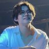 mushroom_kristine
