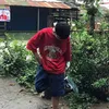 zyrellegarcia657