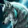 wwolf942