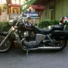 tanquoc668