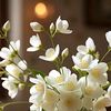 naeem0266
