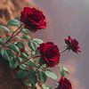 secret._life43467