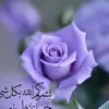 u._ky