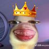 srey.pov4531