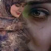 ms___501