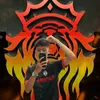 15dynasur