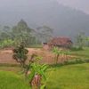 iisariskha3
