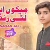 singerwaqasalii