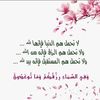 mohamed.mahmoud4940