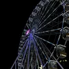 mihaela223455