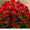 user5103443149462