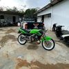 adull_cobra