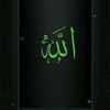 user6848294543236