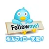 followmeqingqing